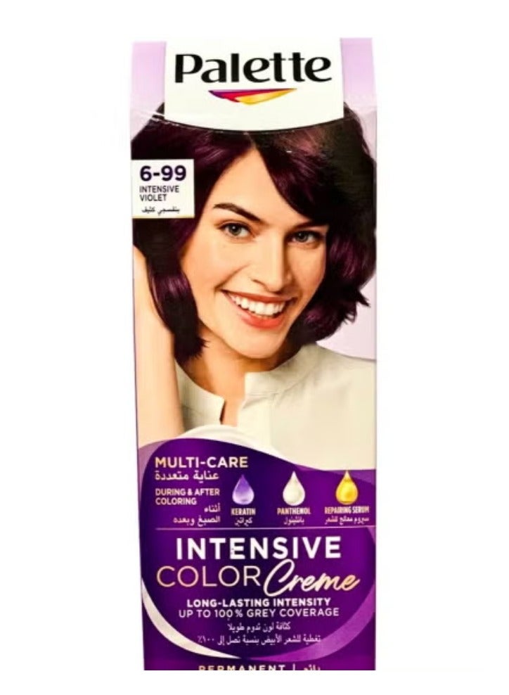 Palette Intensive Color Cream 6-99 Intense Violet 110 ml